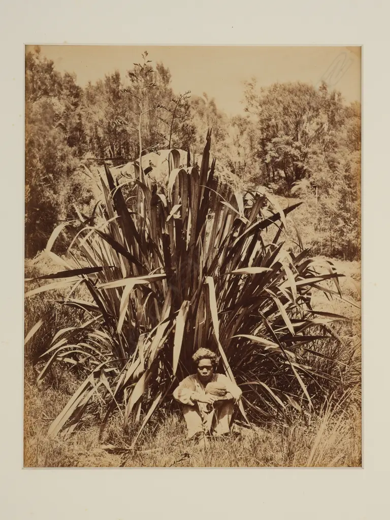 Daniel Louis Mundy (1827-81) - Study of a flax bush with native boy on the Wairere River, Image 1++